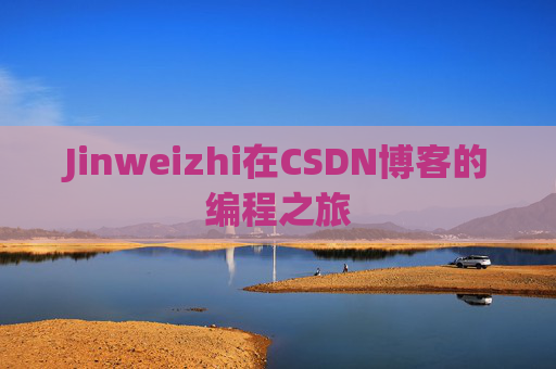 Jinweizhi在CSDN博客的编程之旅